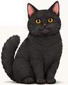 Black Cat
