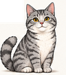 Grey Tabby