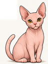 Sphynx
