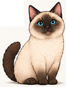 Siamese / Colorpoint