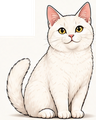 White Cat